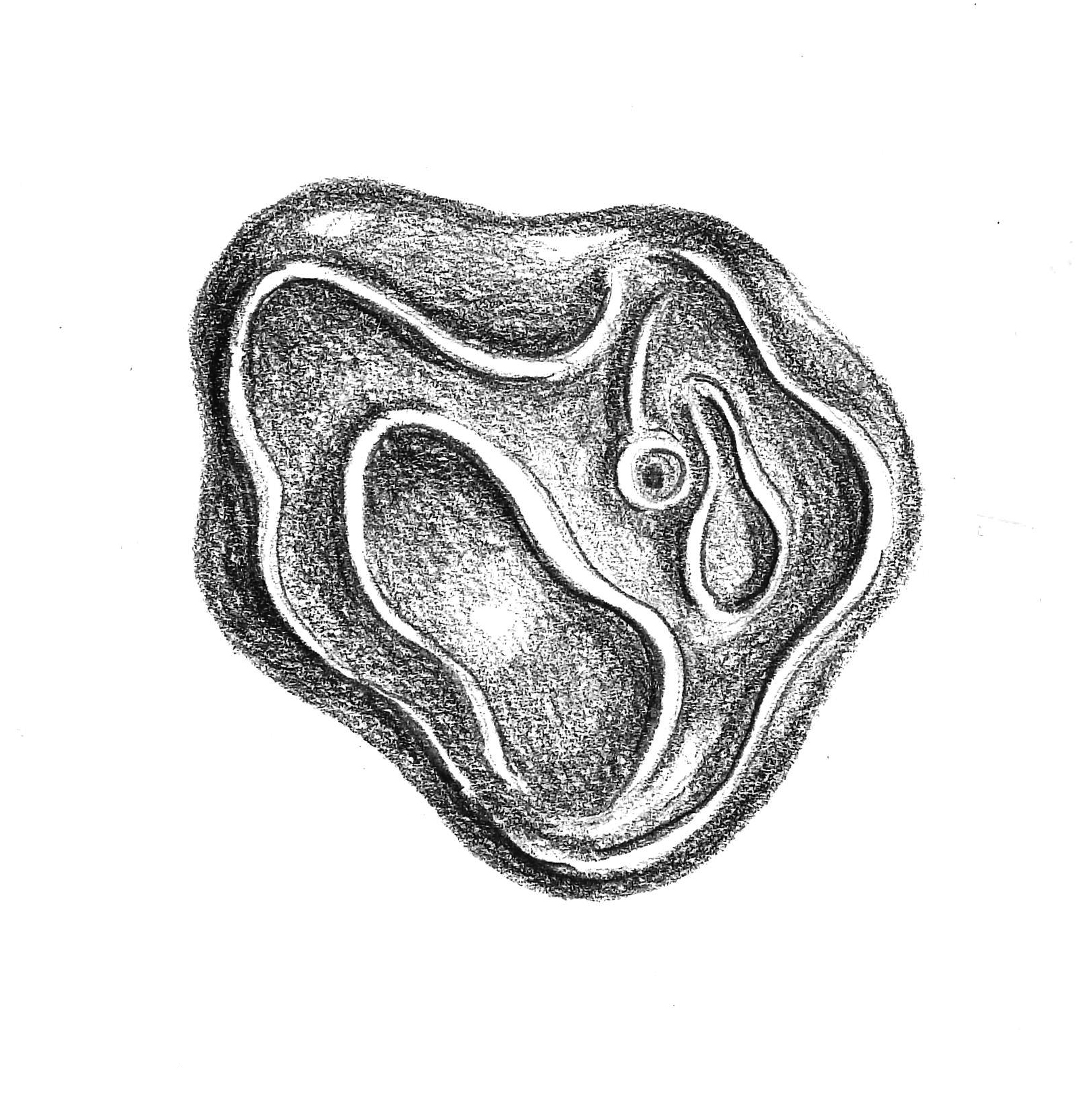 drawing doings
