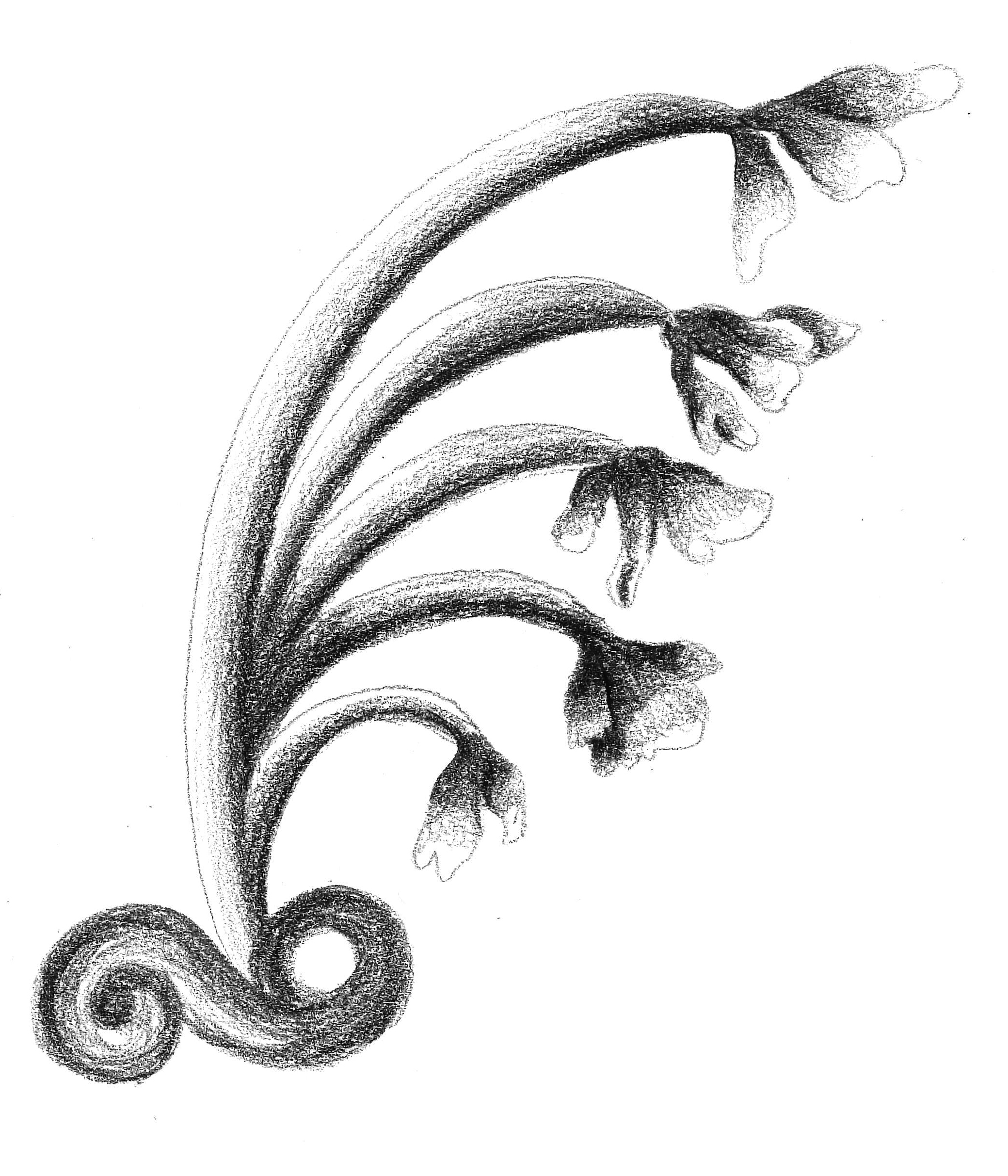 drawing3-edit-darker