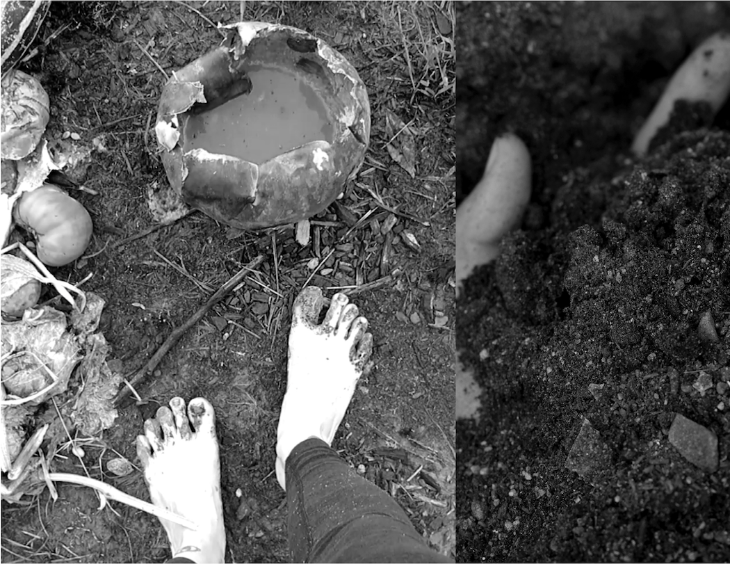Figure 3. Score performances with compost